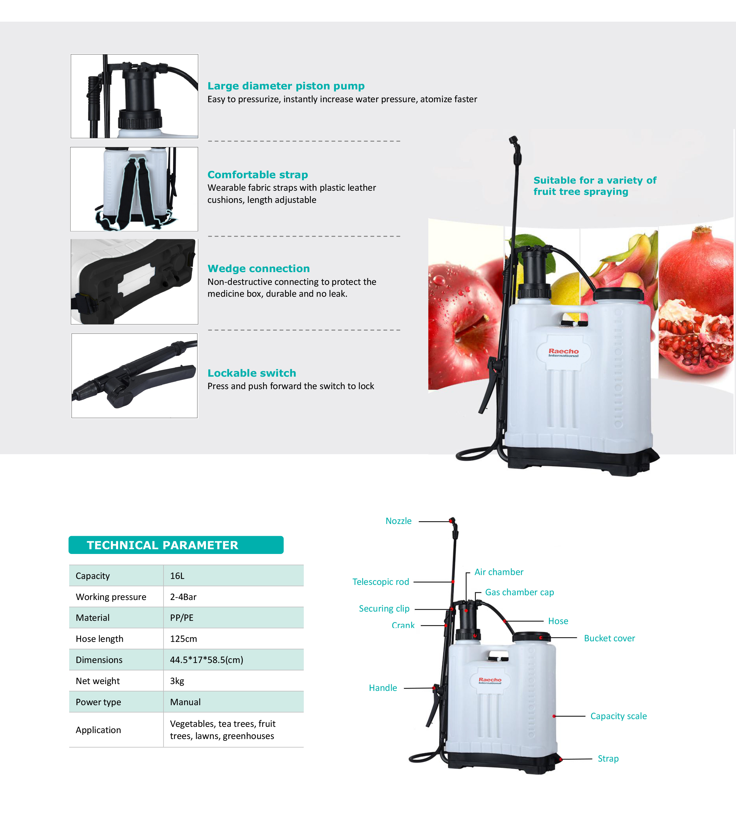 Raecho-Knapsack Sprayer2-2.jpg