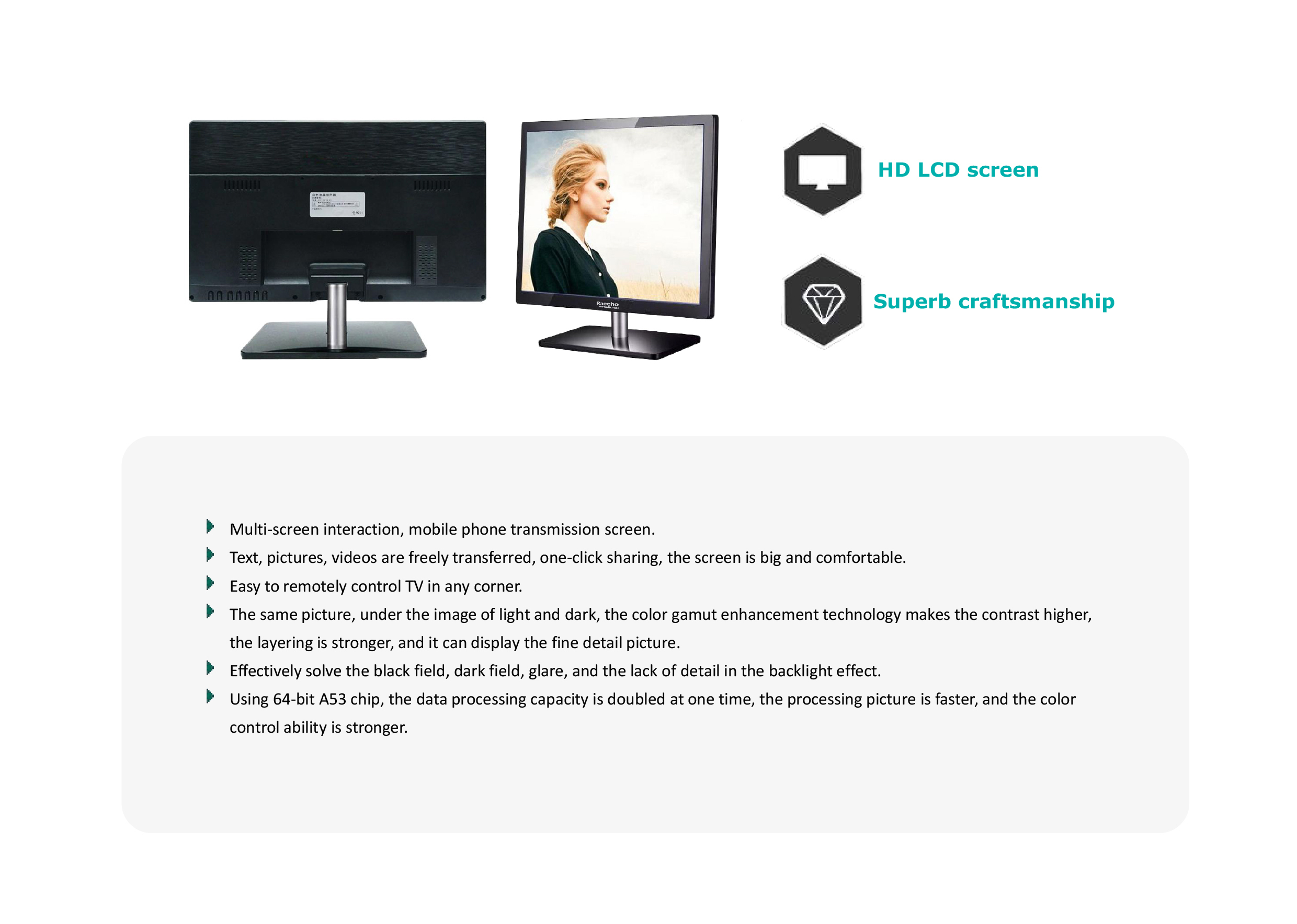 Raecho-Plasma&nbsp;TV-1.jpg