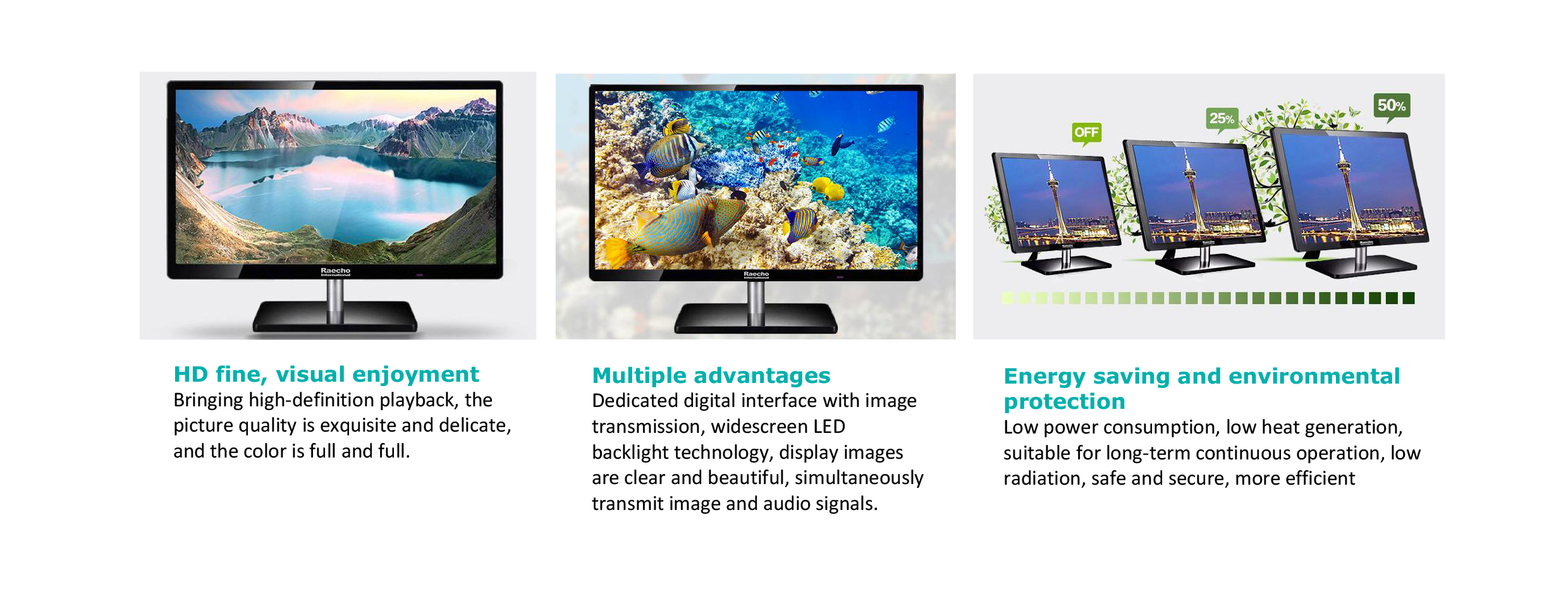 Raecho-Plasma&nbsp;TV-3.jpg