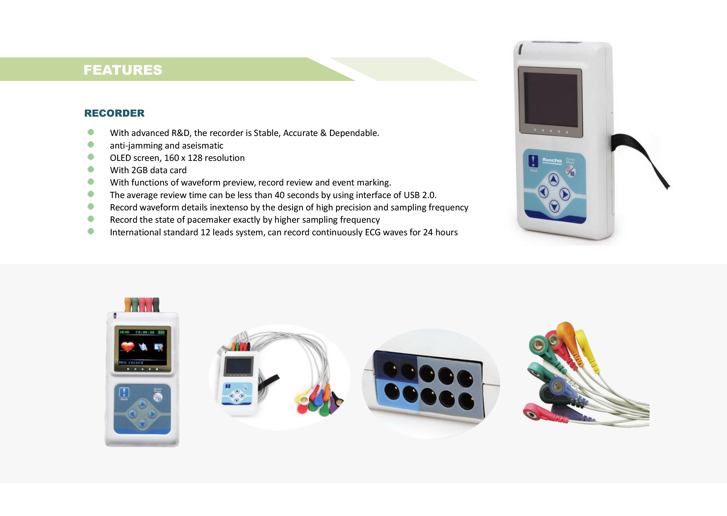 Raecho-Holter ECG -1.jpg