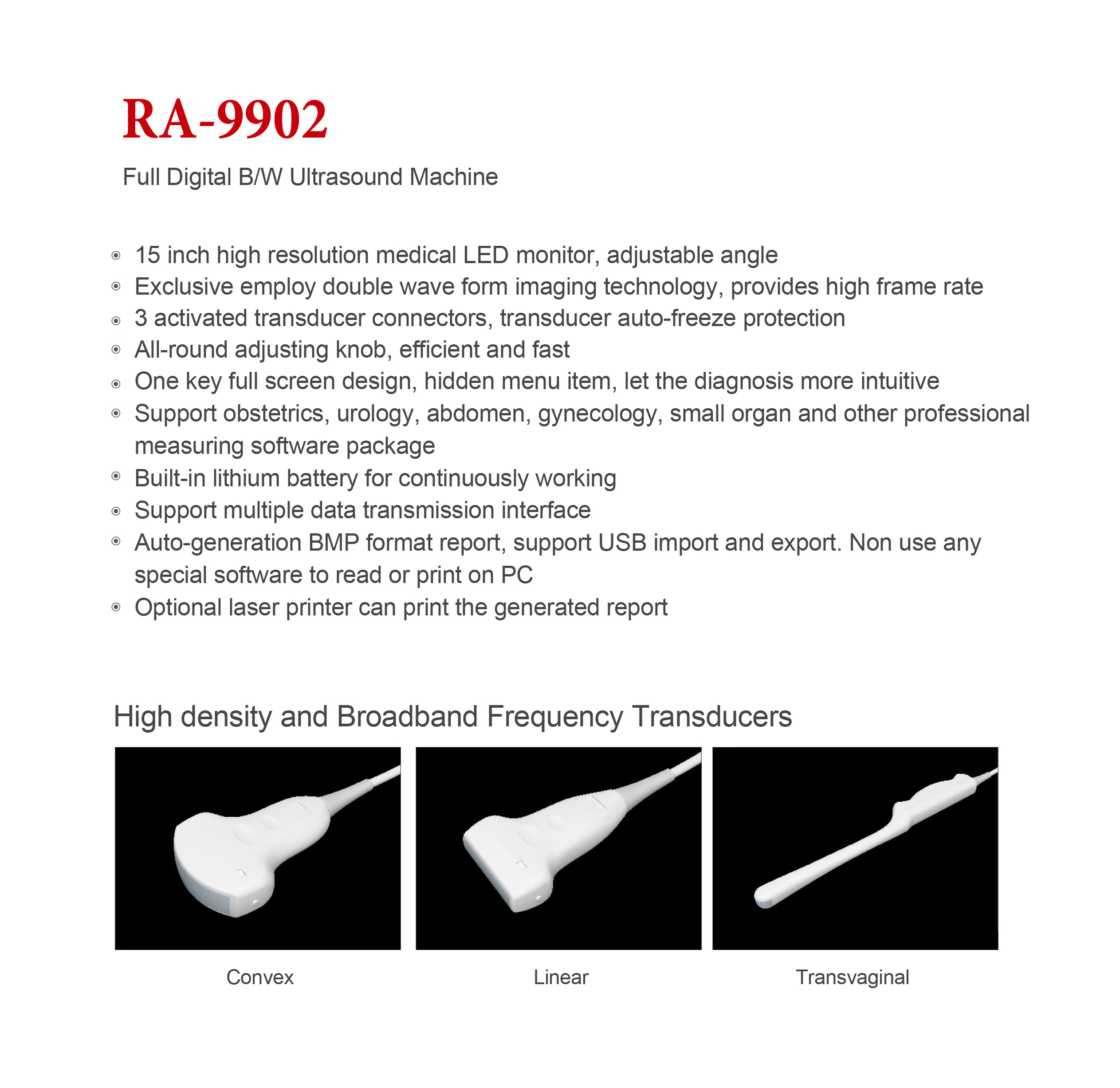 Raecho RA-9902-1.jpg