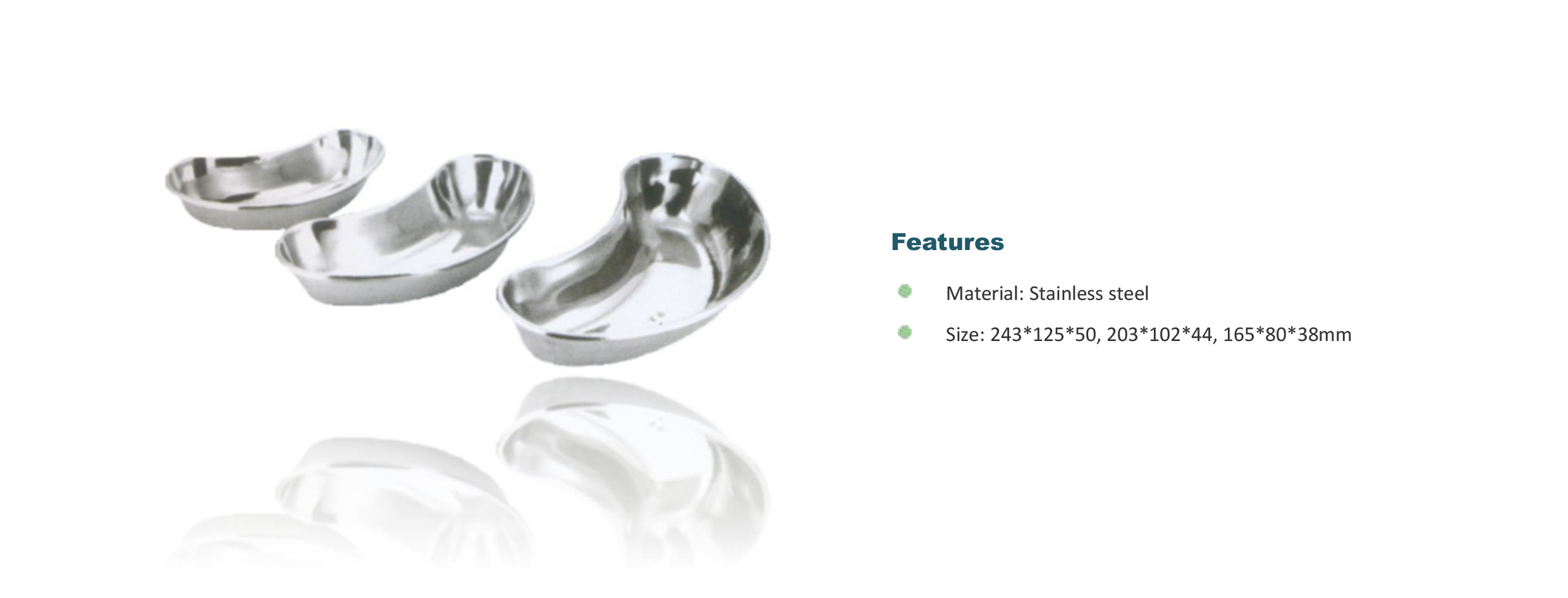 Raecho-Kidney Instrument Tray-1.jpg