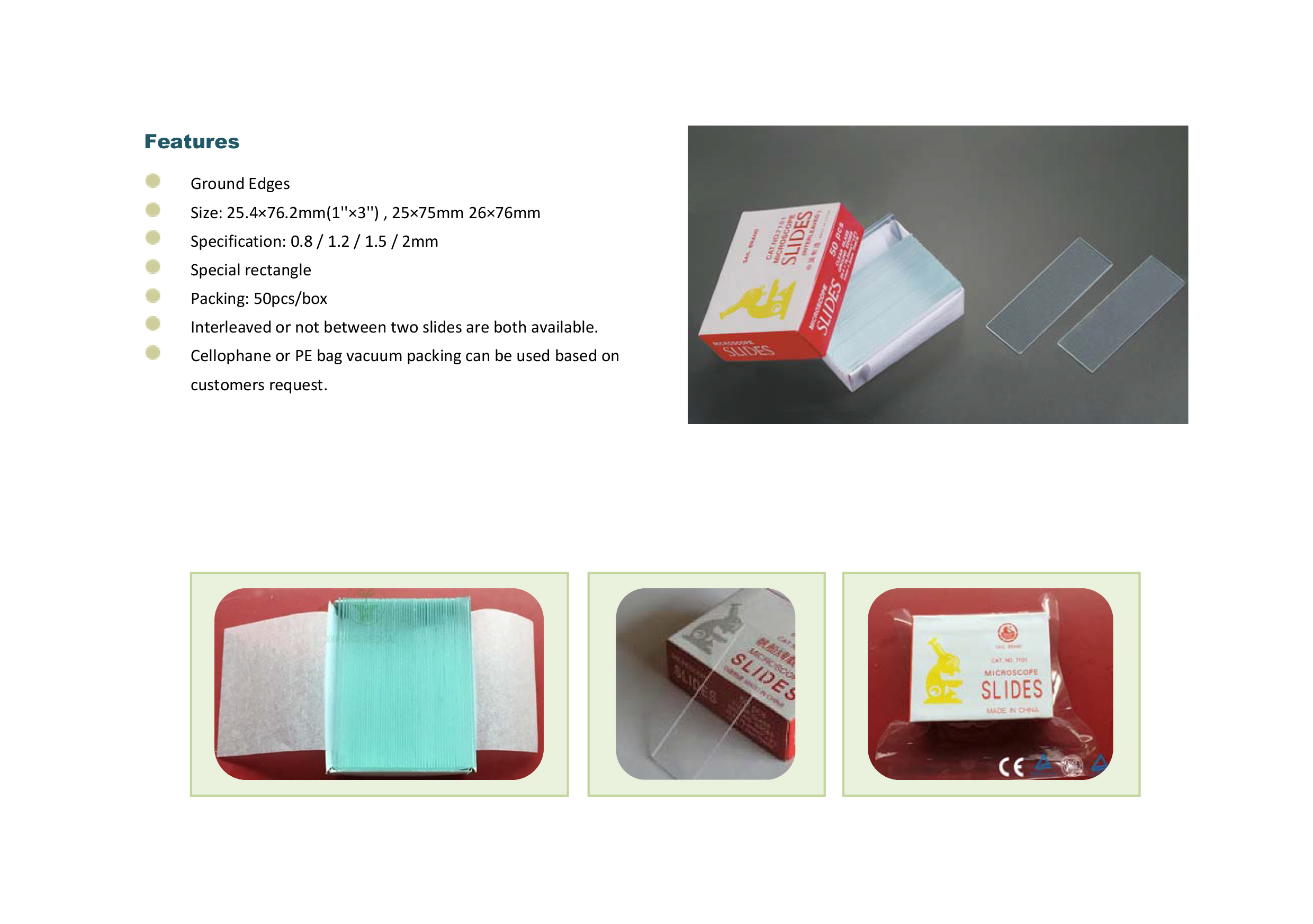 英语-Raecho Microscope Slides.jpg
